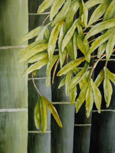 Green Bamboo