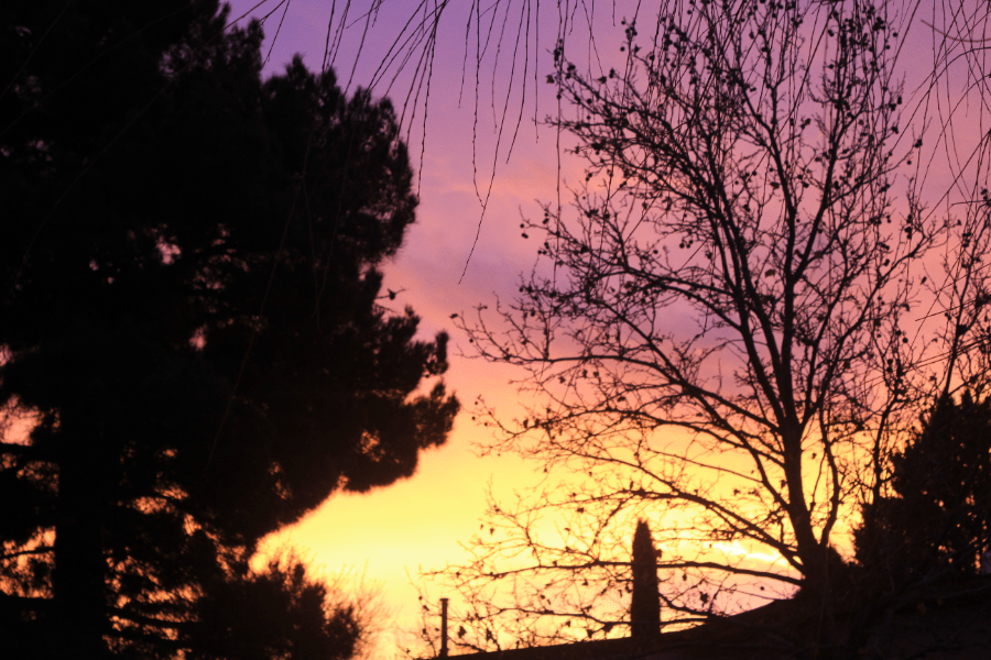 Jan8 2017 sunrise.png