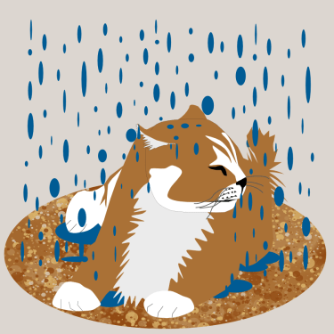 Raindrops on my Head